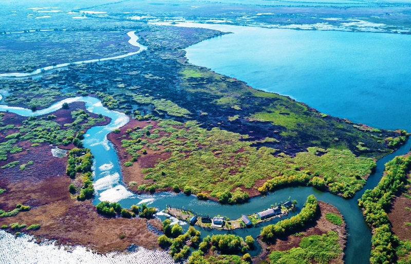 Economica Insula Mati a Din Delta Dun rii La Licita ie Cu Un 