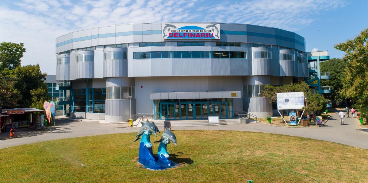 Delfinariul din Constanța va fi extins și modernizat, investiția fiind de 5,6 milioane de euro - Economica.net