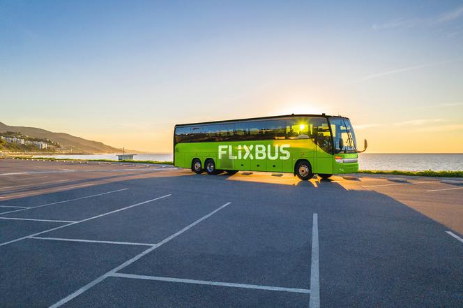regular joy wheel Economica.net - Compania FlixBus se extinde în Brazilia și va începe să  opereze primele curse la finalul lui 2021 - Economica.net