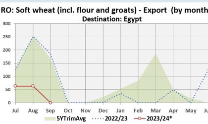 export grau egipt