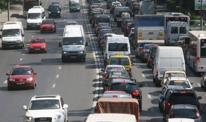 trafic-masini autorizatii vehicule