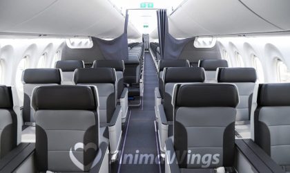 Animawings Airbus a220 