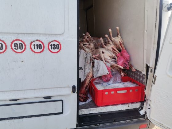 Prețul cărnii de miel a crescut de 3,4 ori față de anul trecut la poarta fermei. A sărit de 1.000 de euro carcasa de 100 de kilograme