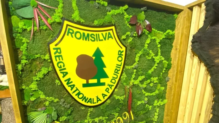 Romsilva a investit în acest an 289 de milioane de lei în drumuri forestiere, depozite şi utilaje