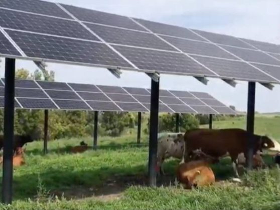 Soarele ține jos prețul energiei electrice în România, mai jos decât în vestul Europei, în plină criză generată de războiul din Orientul Mijlociu. Nou record istoric la energia fotovoltaică azi
