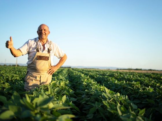 CEC Bank facilitează refinanțarea creditelor acordate prin componentele AGRO și RURAL printr-o nouă convenție oferită clienților