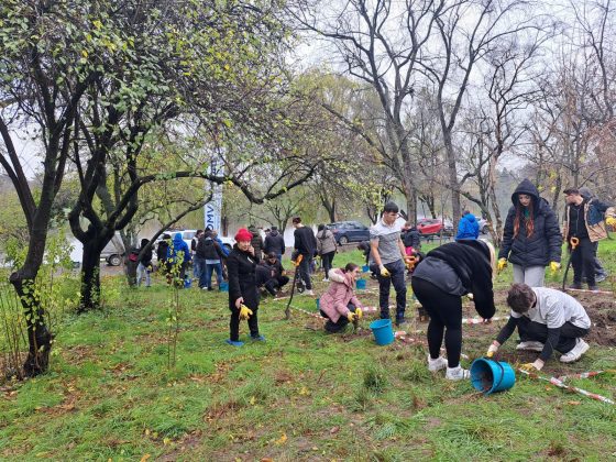 Primăria Capitalei plantează 4.000 de puieți în Parcul Tineretului