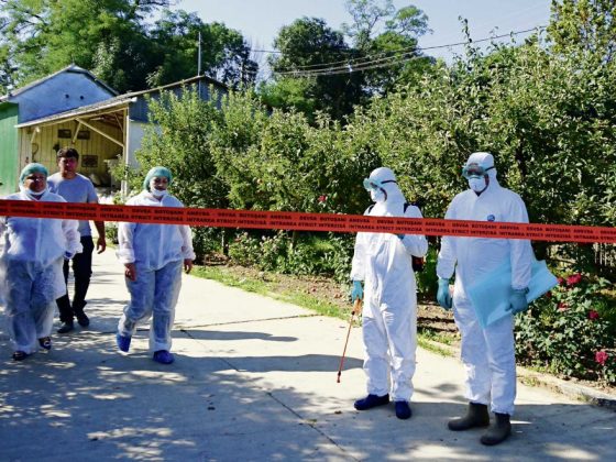 Cât de tare a lovit anul trecut pesta porcină africană. România se confruntă cu o dublare a număruui de focare la porcii domestici