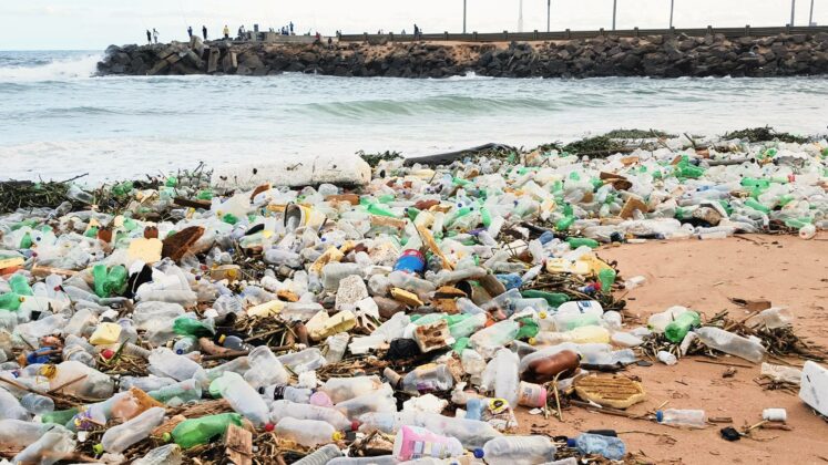 Excesul mondial de plastic se va agrava şi mai mult până în 2040