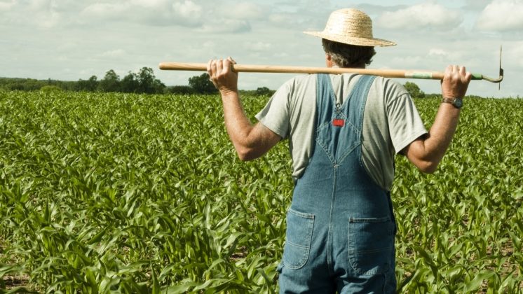 AAC cere Guvernului amânarea plăţii taxelor şi contribuţiilor sociale datorate de fermieri și reducerea accizelor la combustibili