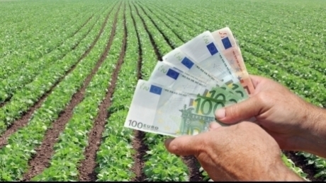Tabel cu calendarul sesiunilor de finanțare PAC 2026 pentru fonduri europene agricultură și investiții agricole în sectoare diverse | sursa foto: Economica Tabel cu calendarul sesiunilor de finanțare PAC 2026 pentru fonduri europene agricultură și investiții agricole în sectoare diverse | sursa foto: Economica