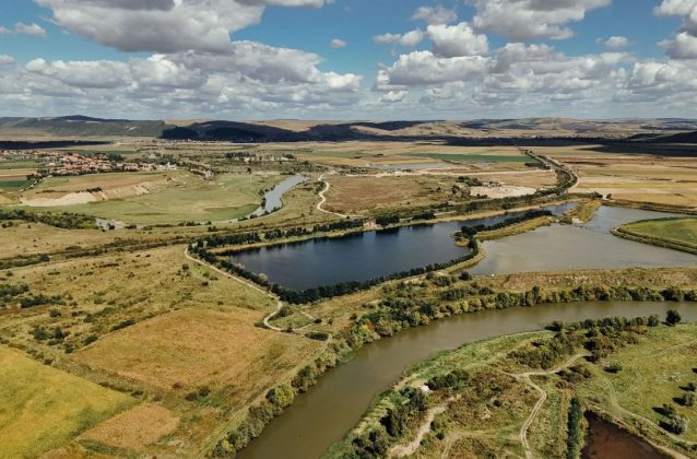Pământul României s-a ieftinit masiv. Prețul terenului agricol compact, de mari dimensiuni, a scăzut de 2,4 ori anul acesta, în medie. Cine a făcut tranzacțiile
