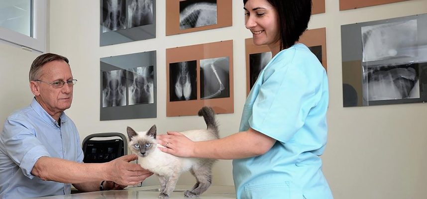 PartnerVet se extinde în Brașov prin preluarea clinicii veterinare Lempeș