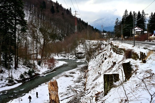 Centura Azuga – Bușteni: Se cere o expertiză tehnică pentru continuarea proiectului, după surprizele din teren din urma defrișărilor