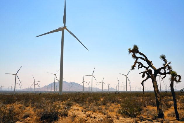 Producția de energie regenerabilă din SUA a atins valori record în 2025, în ciuda ostilității administrației Trump față de acest sector