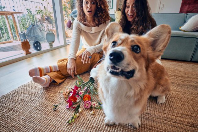 Florile rămân cadoul cu risc minim și impact maxim – studiu LEGO de Valentine’s Day