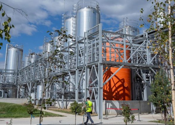 Majorare puternică de capital a gigantului american P&G în România. A adus peste 180 de milioane de lei la firmele sale din ţară