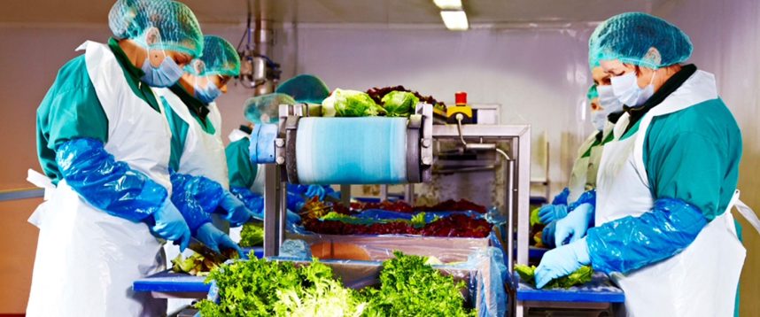 Peste 120 de milioane de lei din salată. Eisberg, liderul pieței de salate gata de consum crește și în 2025