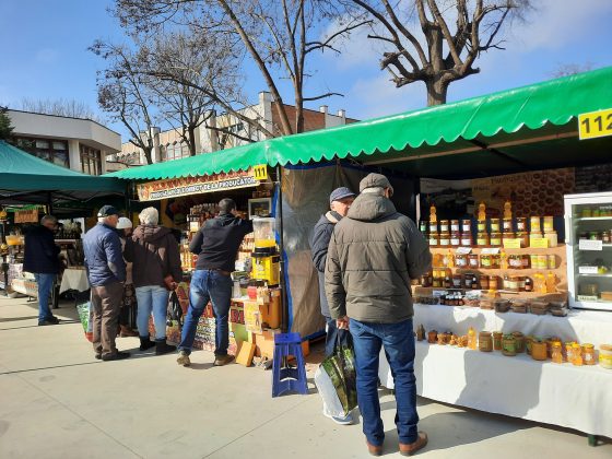 Apicultor român inspectând familii de albine în stupină, ilustrând provocările apiculturii România și sprijin financiar apicultori în contextul import miere Mercosur. | sursa foto: Economica