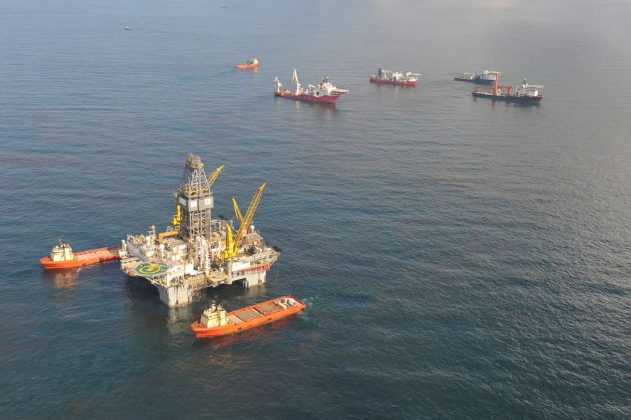 Administrația Trump exceptează forajele marine petroliere din Golful Mexic de la obligația de a proteja mai multe specii de animale aflate în pericol