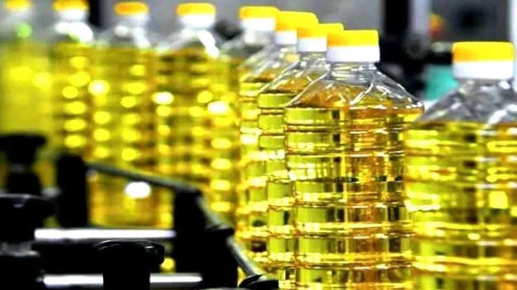 Criză – Pariurile pe motorina bio cresc, cerere slabă pentru uleiurile comestibile (analiză)