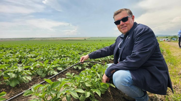 Probleme la vârful Grup Șerban Holding. Interagroaliment, care a concediat recent 26 de angajați, și-a cerut insolvența