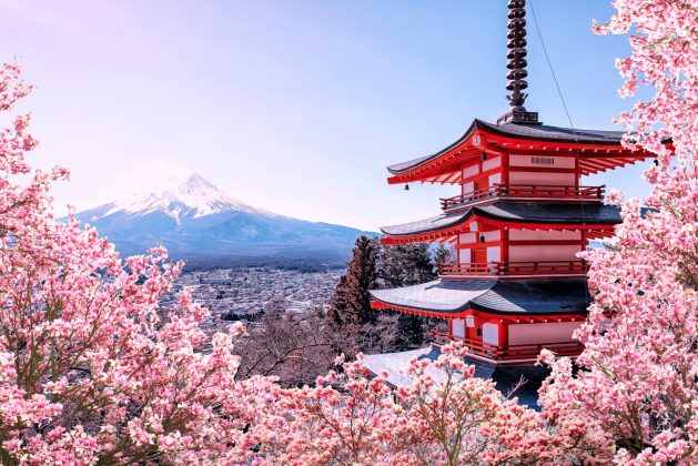 Toată planeta s-a adunat la înflorirea cireşilor din Ţara soarelui-răsare. Japonia a avut un număr record de turişti străini în martie