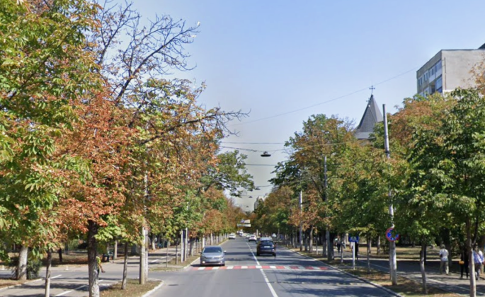 Orașul din România care închide circulația auto pe un bulevard, să nu se usuce copacii