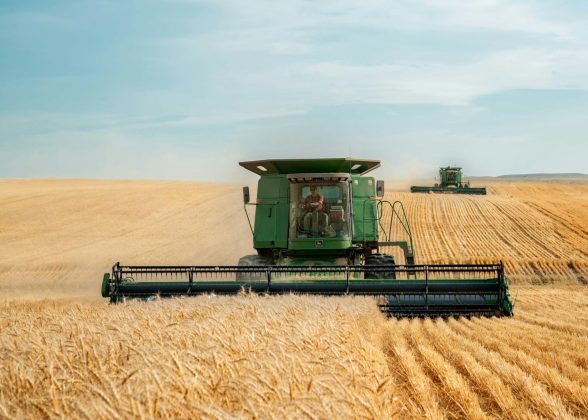 Toate cooperativele agricole românești fac de 3,7 ori mai puțini bani decât Lidl, cel mai mare lanț de magazine după cifra de afaceri din 2026