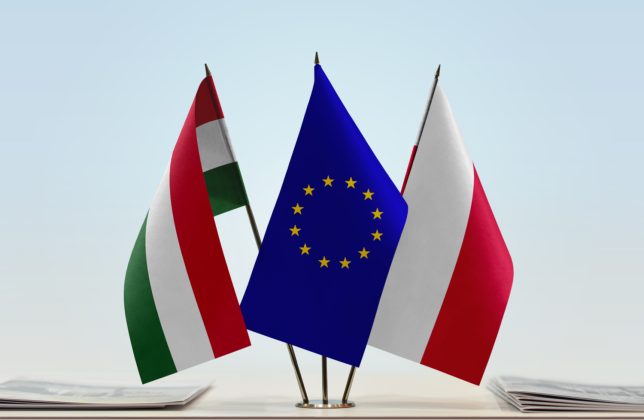Alianţă Polonia-Ungaria. Cele două ţări își vor apăra împreună interesele comune la Bruxelles