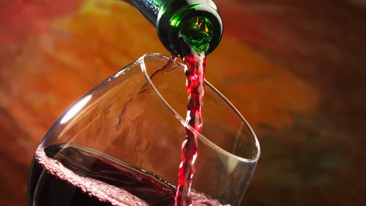 Producătorul de vinuri Cotnari, afaceri cu peste 20% mai mari în 2025. Profitul a intrat la apă