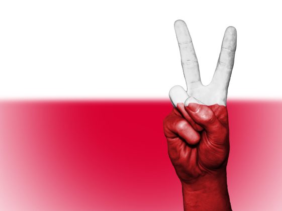 Super-Polonia se pregăteşte pentru intrarea în clubul bogaţilor. Economia poloneză ar putea ajunge în top 3 cele mai influente economii din Europa în următorii 10 ani