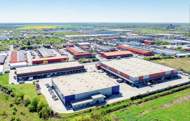 Doraly, primul parc en-gros din București, lansează platformă online și aplicație mobilă