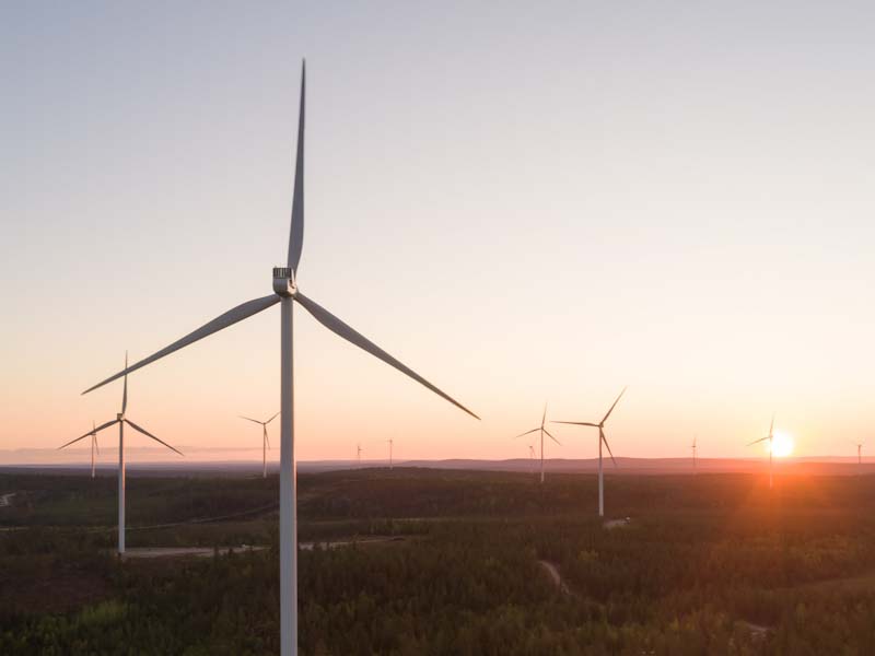 Un nou parc eolian intră în producție în România. Green Breeze din Galați, de aproape 100 MW, ia licența de la ANRE