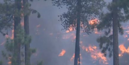 Stare de urgență în Spania din cauza incendiilor de vegetație. Franța cere ajutorul UE