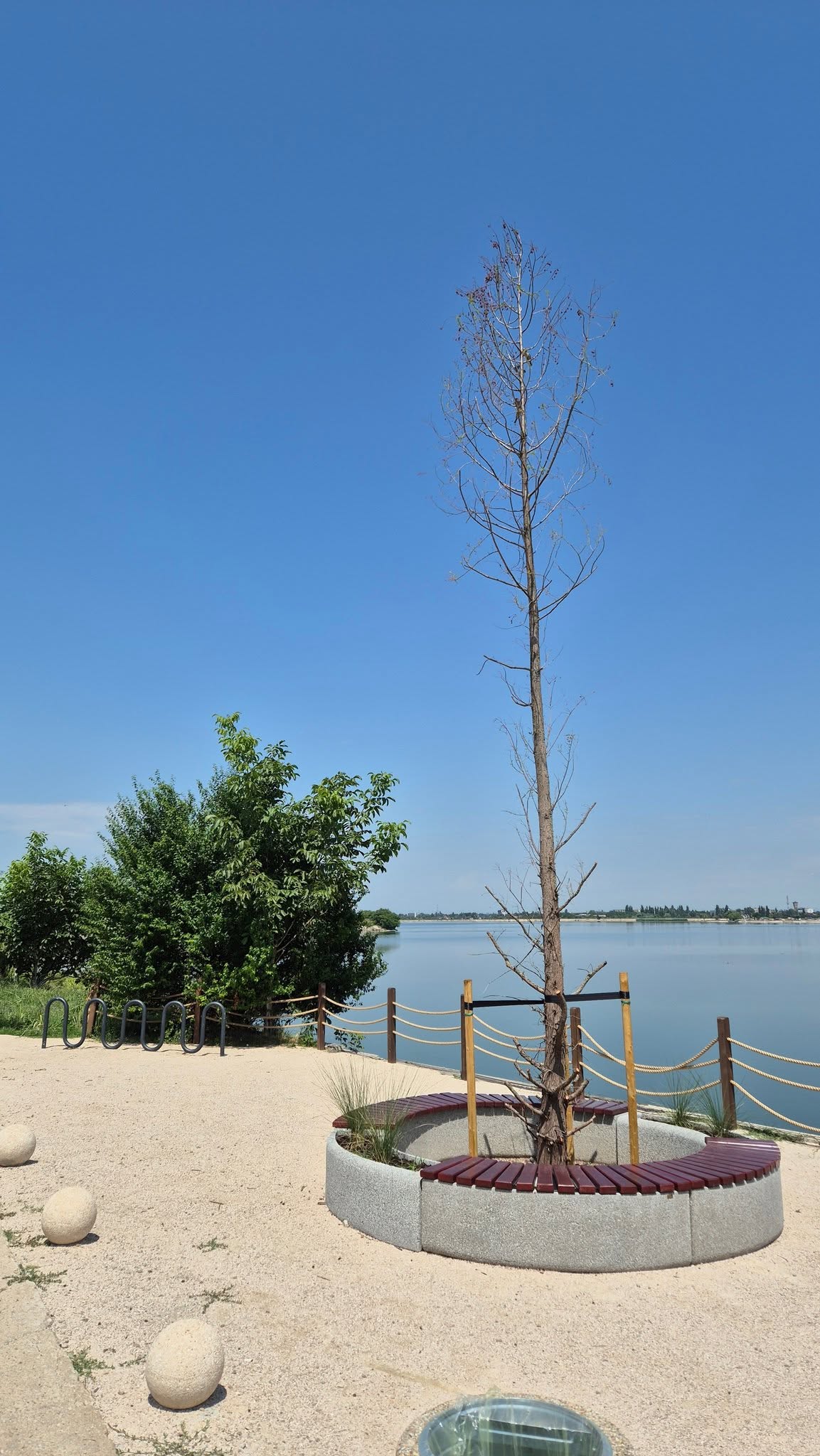 lac