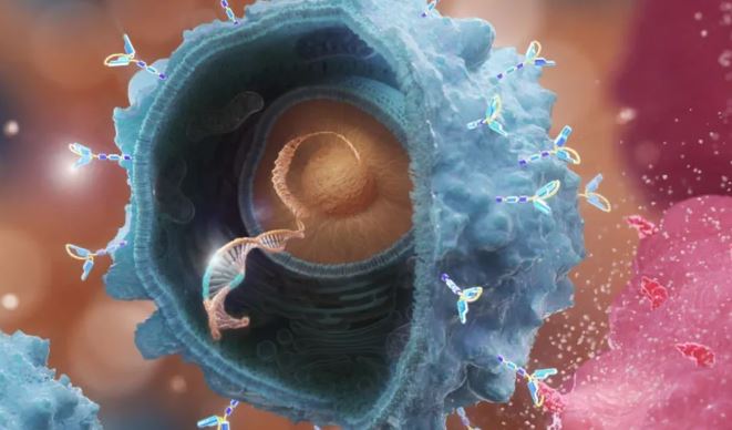 FT: AstraZeneca şi Bristol Myers discută o fuziune de 400 miliarde de dolari