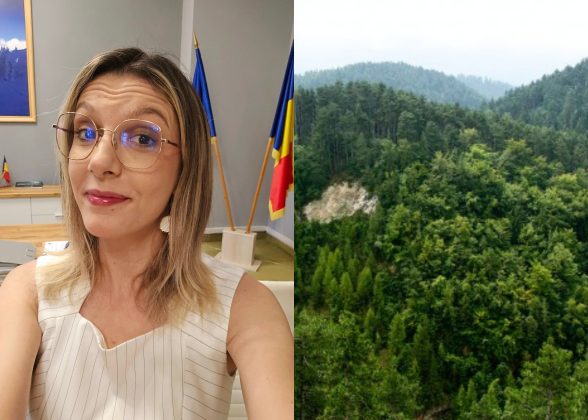 Diana Buzoianu: România a depășit țintele PNRR pentru păduri. Anunț de la Ministerul Mediului despre zonele cu cele mai mari suprafețe împădurite