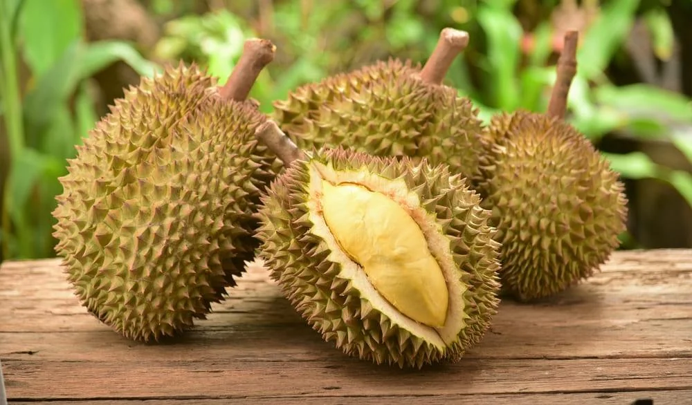 Imagine asociată subiectului: Fermierii vietnamezi se orientează spre durian pe fondul cererii din China