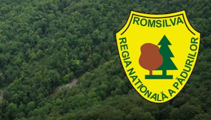 Reorganizarea Romsilva – Risc de blocaj pentru Regie, sesizare oficială la CSAT de la Federația Sindicatelor din Silvicultură Silva