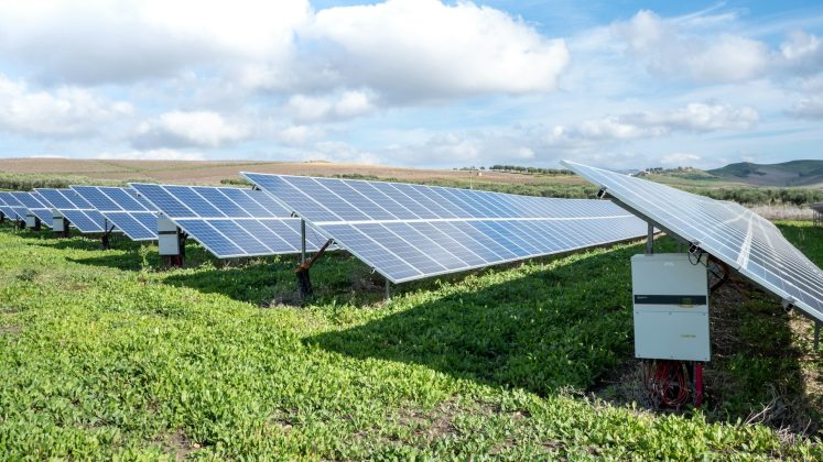 România va avea la începutul lui 2027 peste 10.000 MW instalați în solar, spune industria Care sunt previziunile pentru stocare și ce ar asigura instalarea mai rapidă a bateriilor