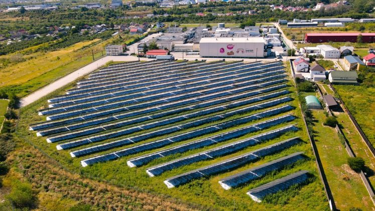 Caroli Foods utilizează, din acest an, energie solară din propriul parc fotovoltaic în activitatea fabricii sale din Pitești