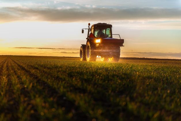 Fertilizarea organică revine în ecuația economică a fermelor. Cât valorează nutrienții pe care agricultura îi are deja